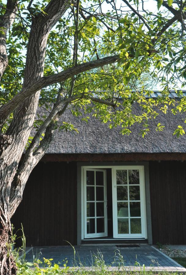 Apartmán Vecmartini Pape Exteriér fotografie